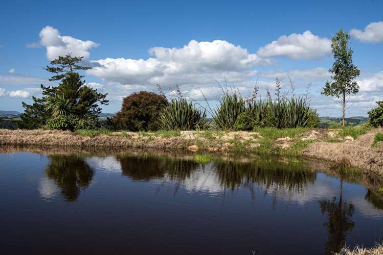 243 Jobe Road Maungakaramea_34