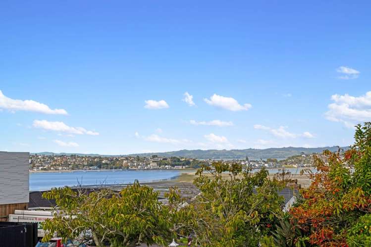 5 Vanessa Crescent Glendowie_6