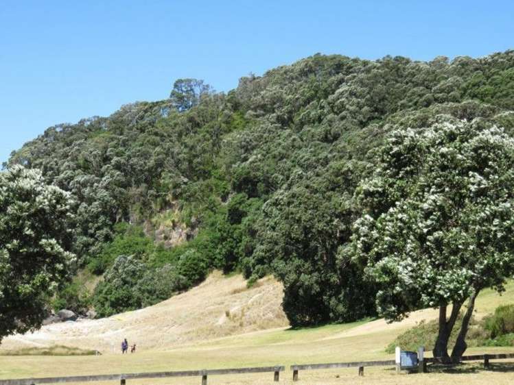 105 Oratia Place Onemana_4