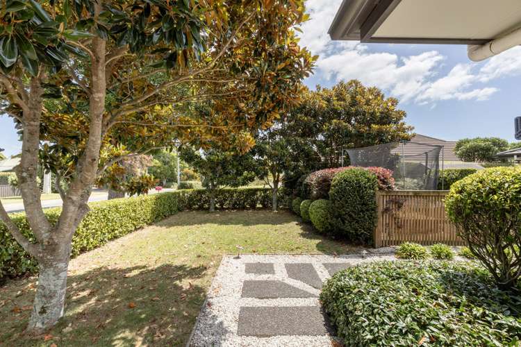 58 Kayelene Place Omokoroa_29