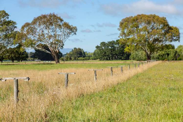 89 Hinau Gully Road Carterton_10