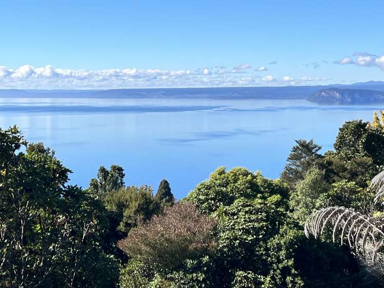 19 Kamahi Terrace Omori_22