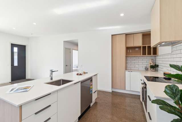 45A Winchester Street Levin_1
