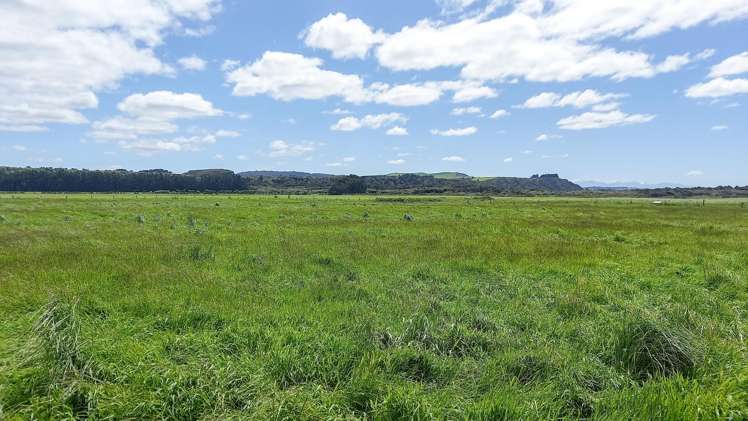 864 Papatotara Road Papatotara_6