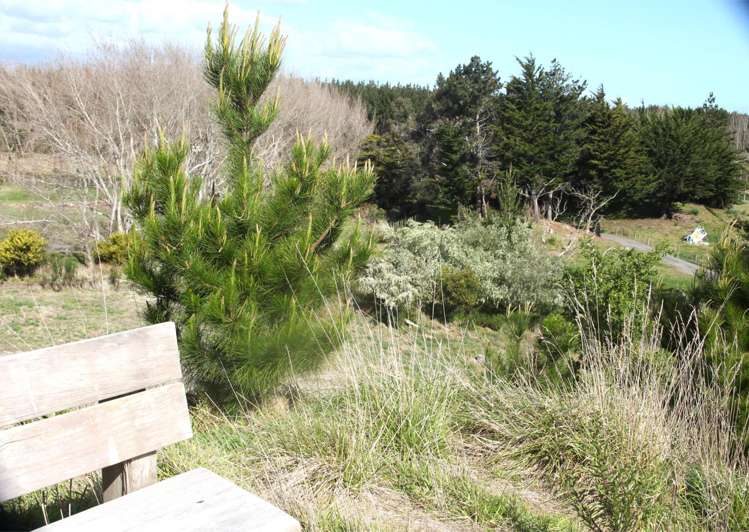 66 Palmer Road Foxton Beach_49