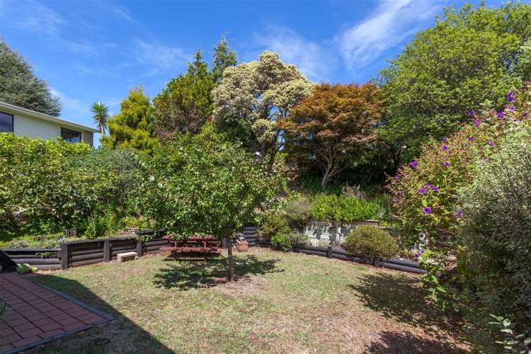 8 Pine Grove Tairua_3