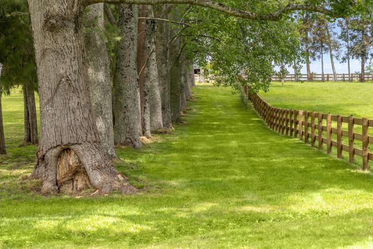 713 Ararimu Valley Road Waimauku_11