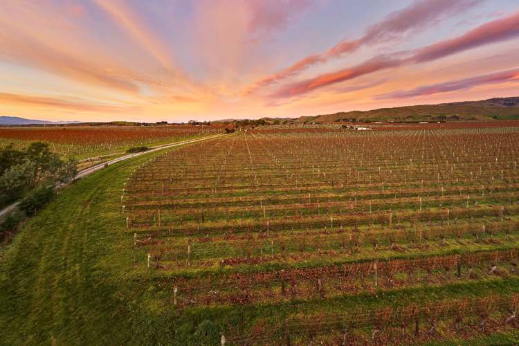 36 Wrekin Road Fairhall_19