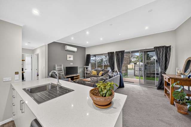 123a Colombo Road Masterton_4