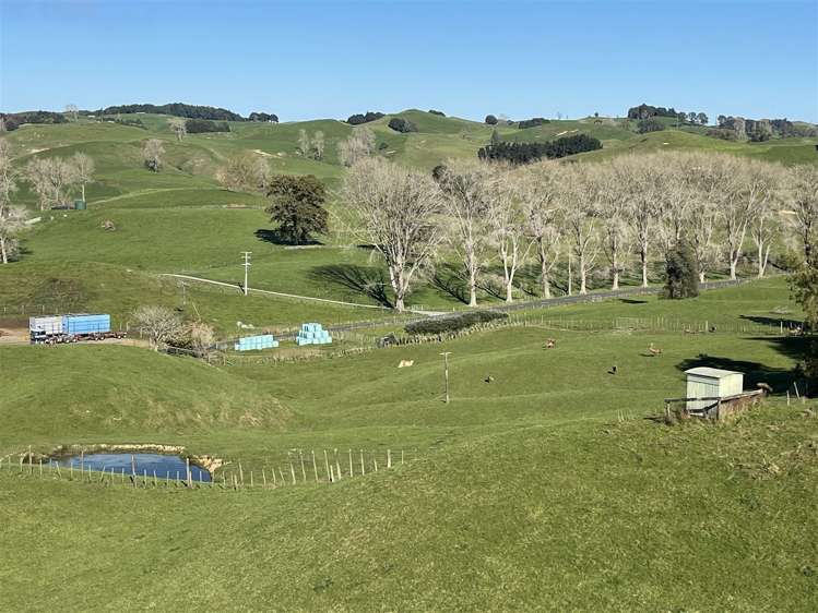 80a Mangaotaki Road Piopio_46