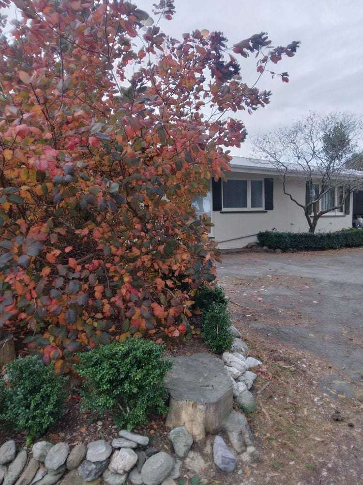 Address withheld Saddle Hill_8