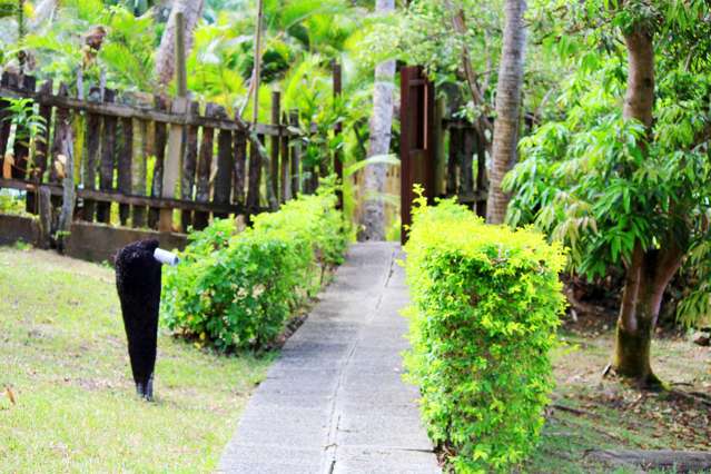 2 Sydney Drive Fiji_1