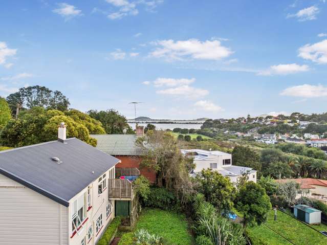 103 Bell Road Remuera_3