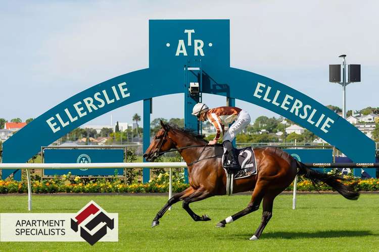 53 Main Highway Ellerslie_19