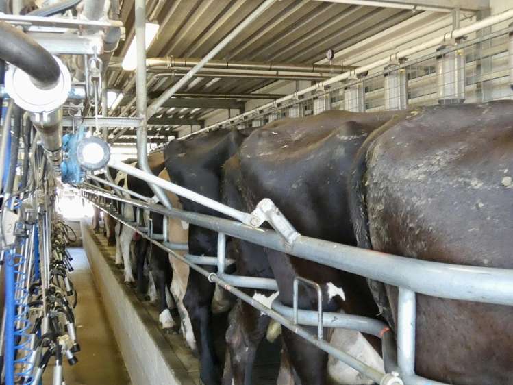 400 Keens Road Springfield_14