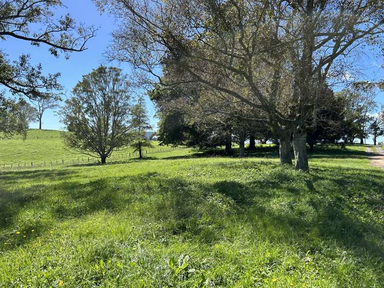 120 Pamotumotu Road Maihiihi_18