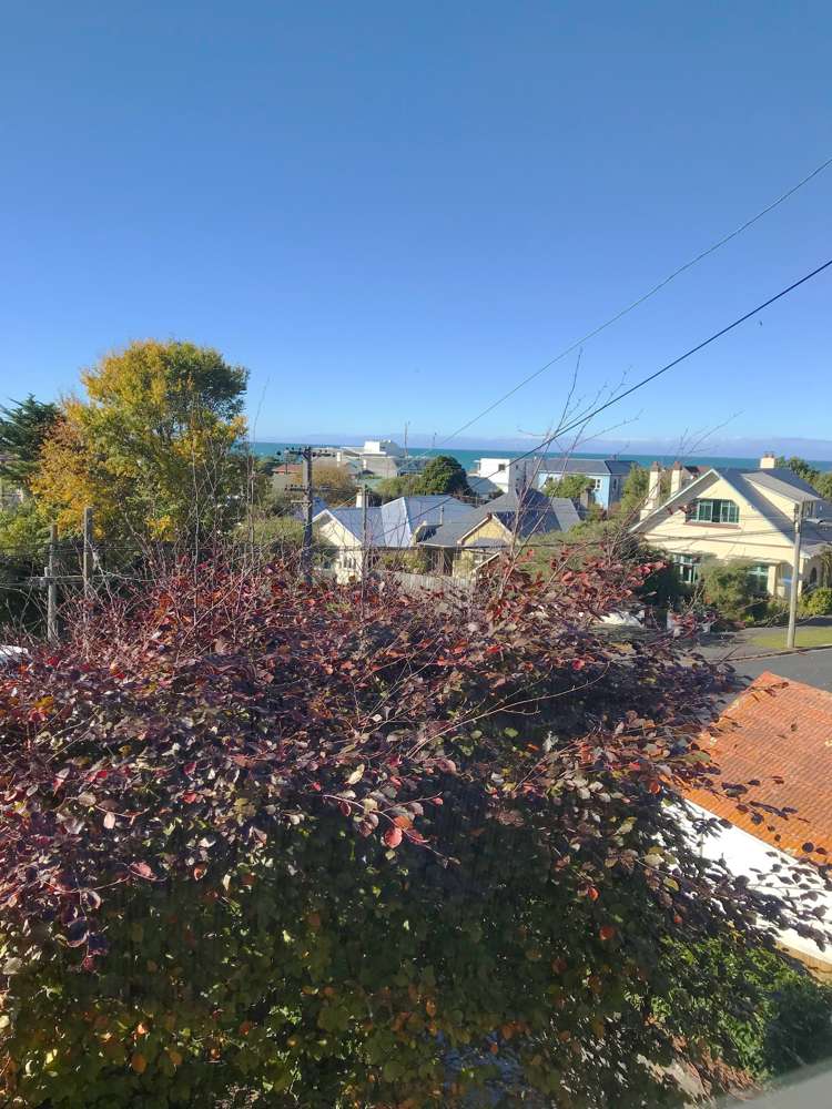 60 Norfolk Street Saint Clair_18