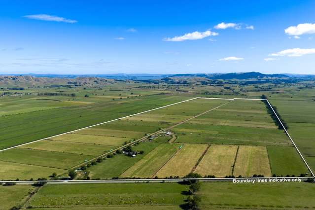 Scale, Simplicity, Solid Production- 116.5ha Dairy