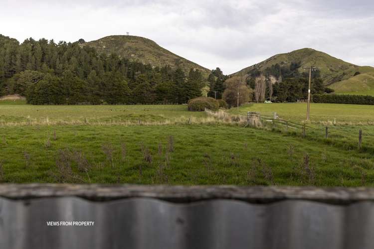 18 Clermont Street Ward_30