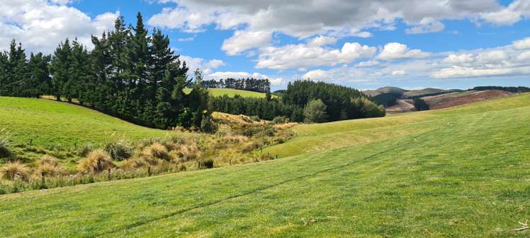 41 Otaria Road Gore Surrounds_1