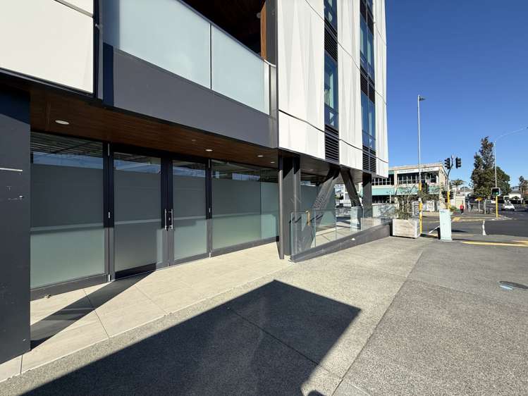 1 Enfield Street Mount Eden_7