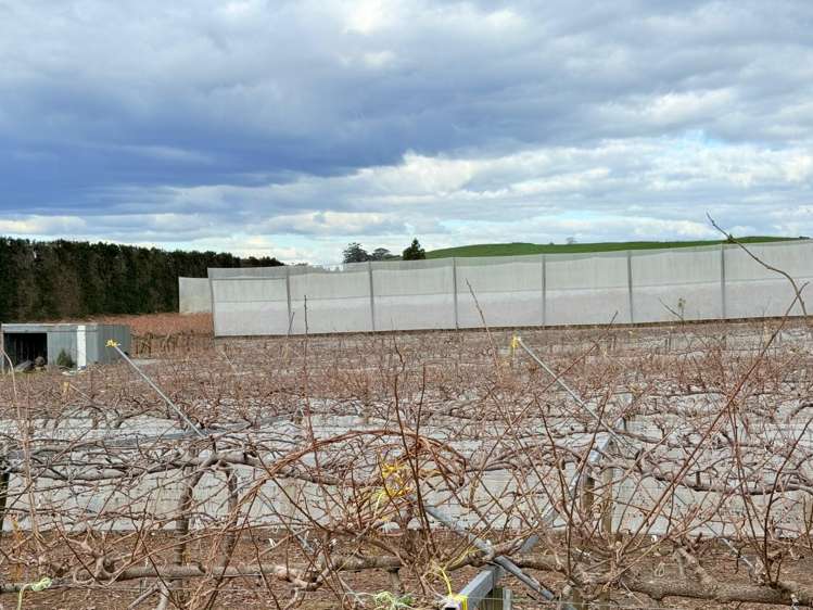 881B Te Matai Road Te Puke_10