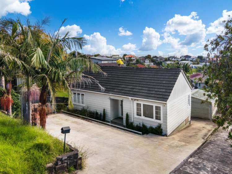 255 Hillsborough Road Mount Roskill_7