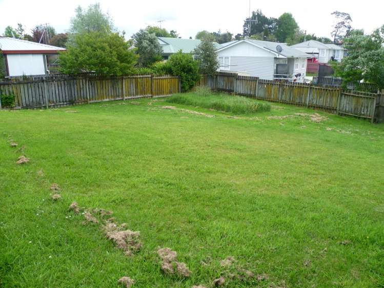 19 Bruce Avenue Glenview_3