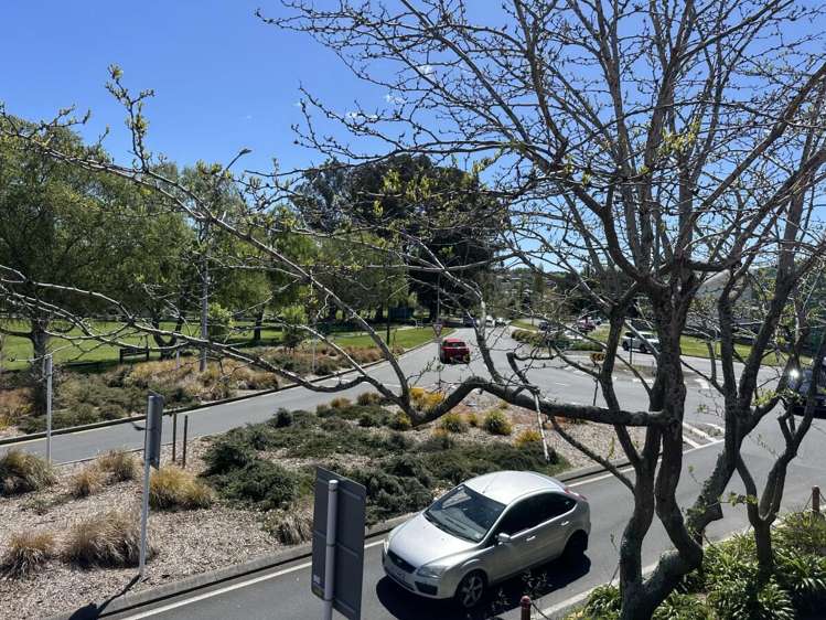 137 Tongariro Street Town Centre_11