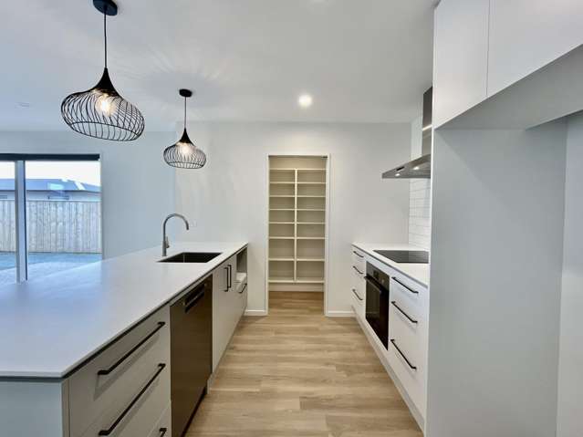 90 Monarch Drive Rolleston_2