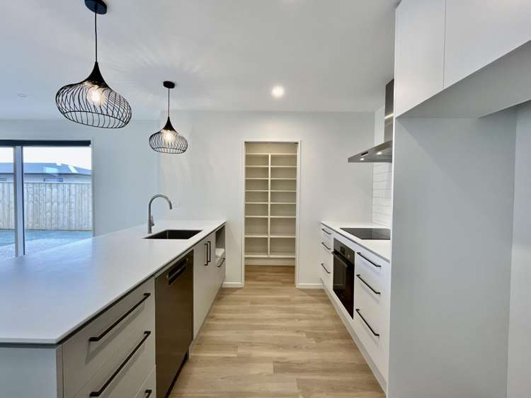 90 Monarch Drive Rolleston_2