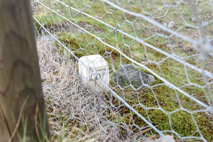 5 Harris Place Twizel_17