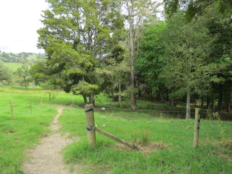 Lot 4 Taylor Road Taipa_6