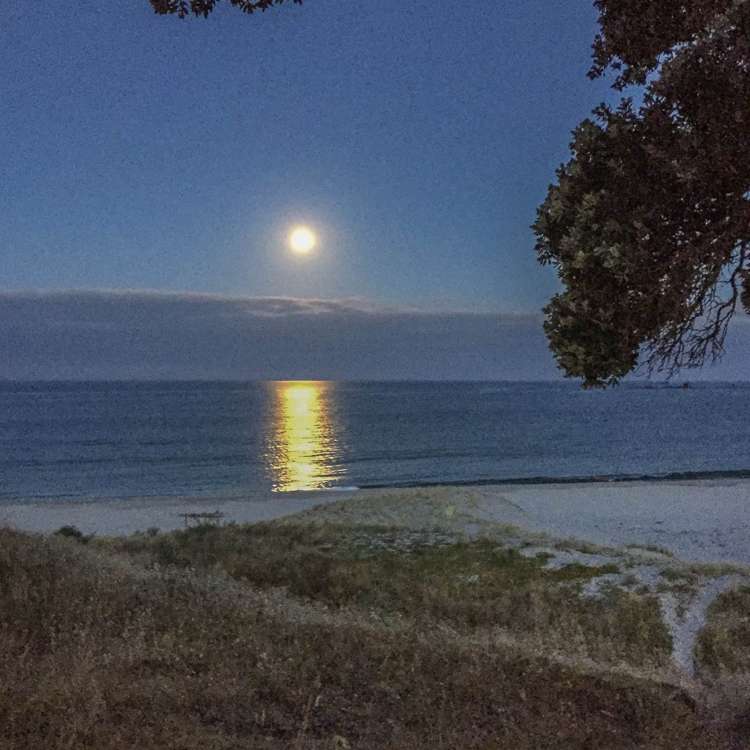 137 Sandhills Road Great Barrier Island_12