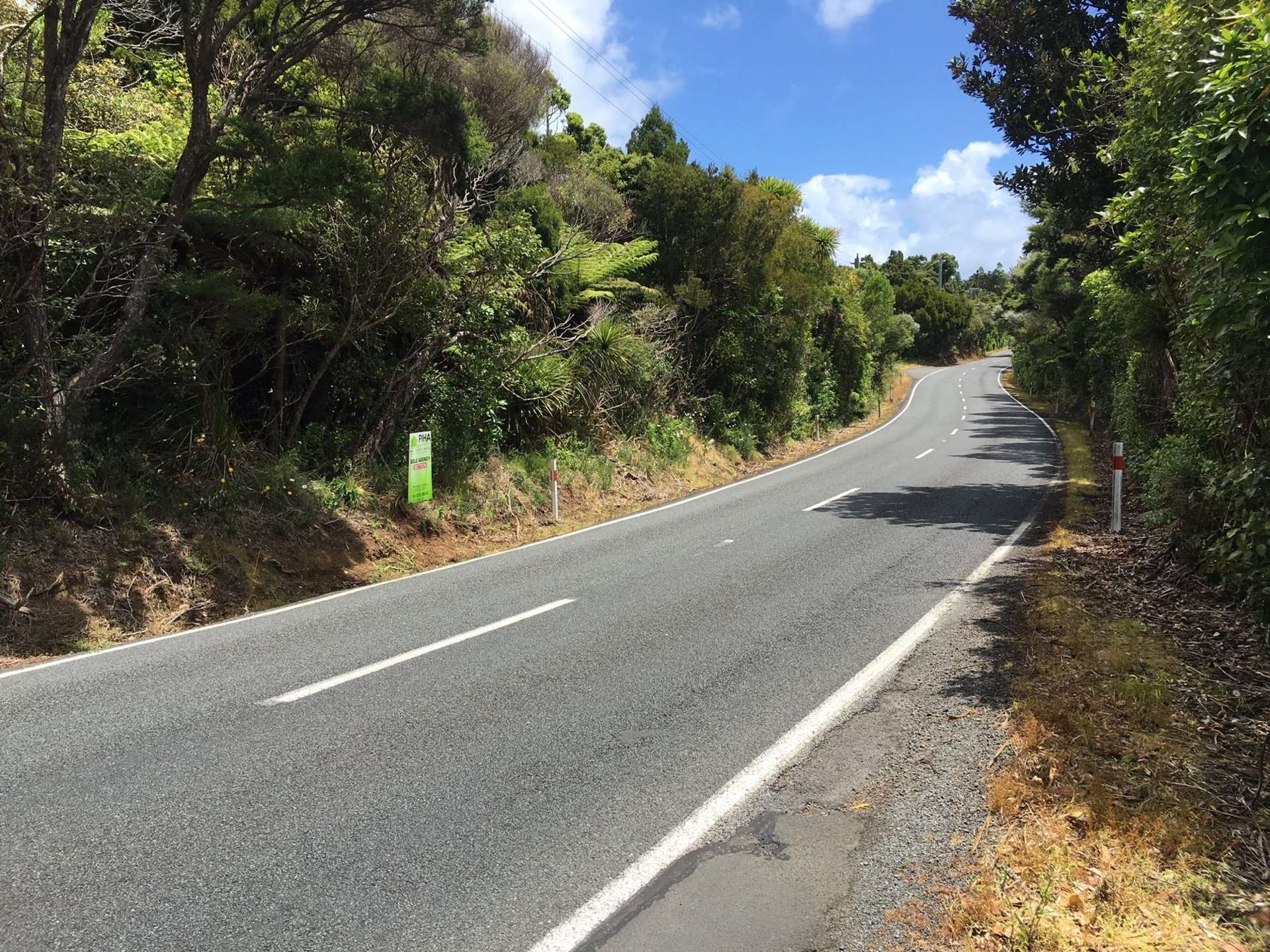 233 Piha Road Piha_0