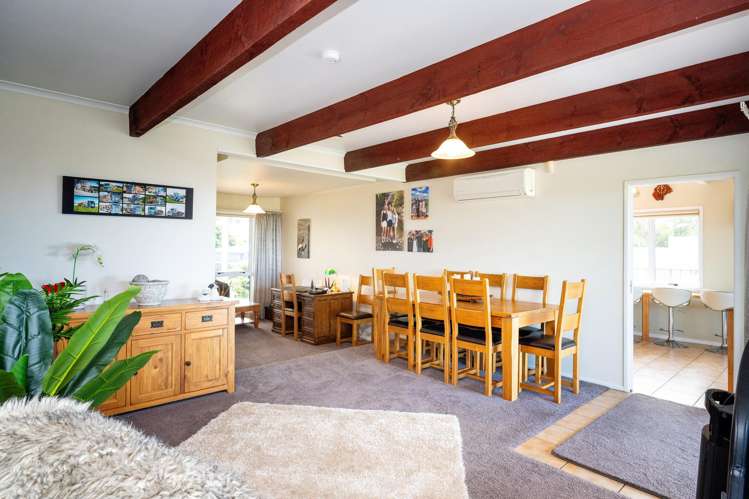 234 Whirinaki Road Eskdale_6
