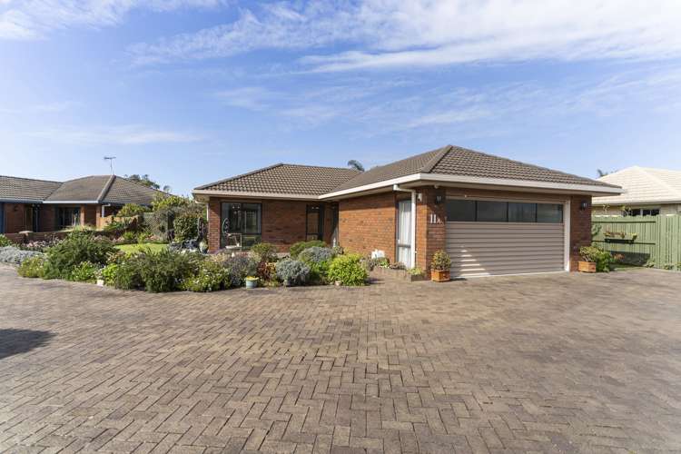 11a Jasmine Place Mount Maunganui_22