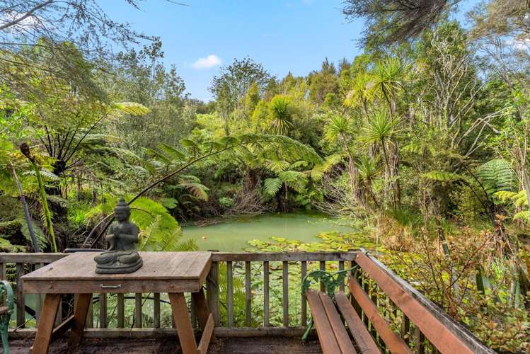 123A Onewhero-Tuakau Bridge Road Onewhero_23