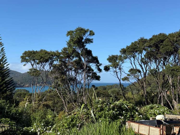 328 Blind Bay Road Great Barrier Island (Aotea Island)_9