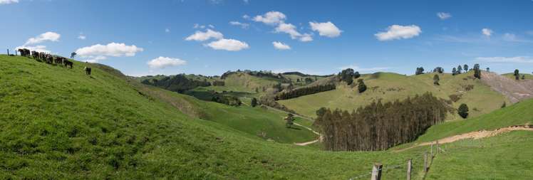 44 Coates Road Waikite Valley_16