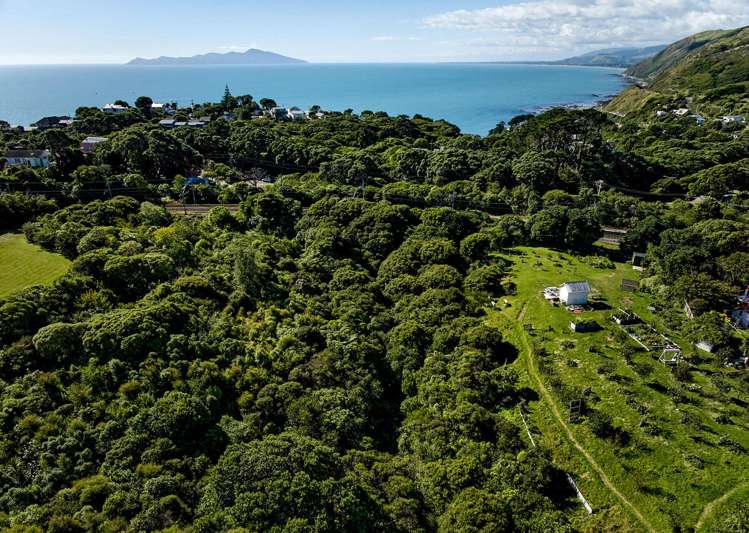 97F Muri Road Pukerua Bay_29