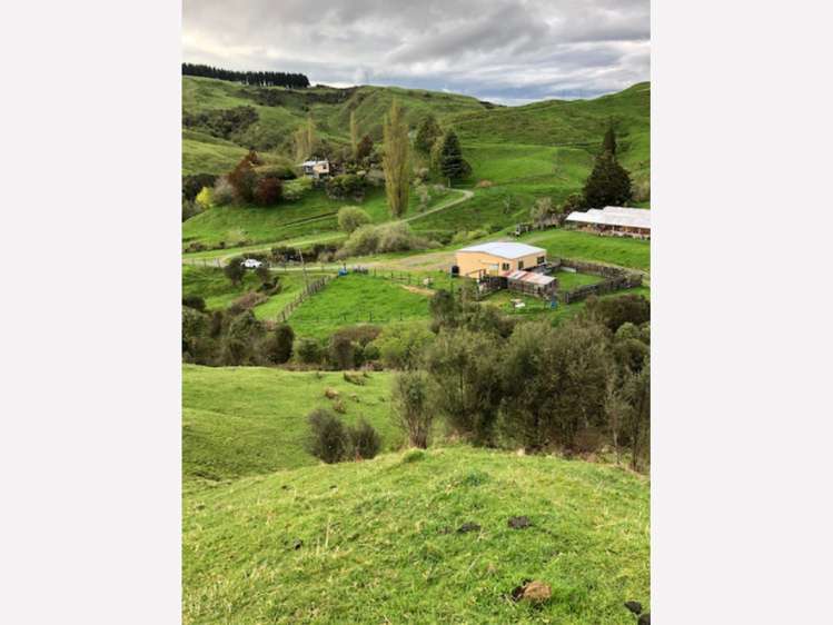 3434 State Highway 4 Aria_8