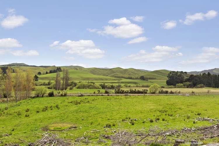 273 Mikimiki Road Mikimiki_9