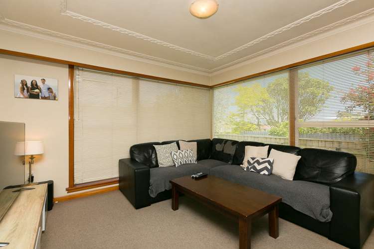 245 Carrington Street Vogeltown_8