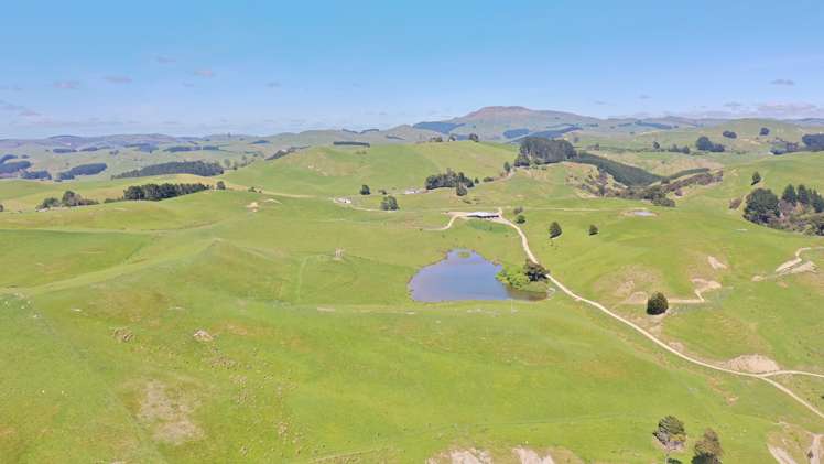 207 Mangatuna Road Weber_27