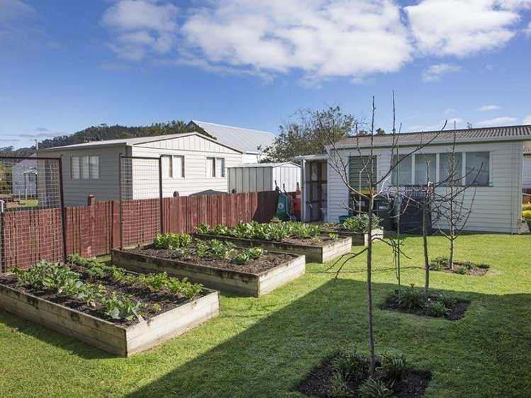 105b Kiwi Road Whangamata_5