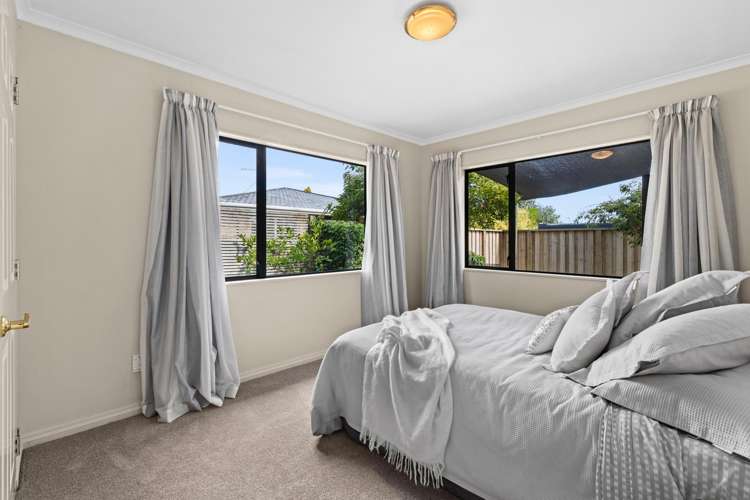 2A Everest Avenue Havelock North_8