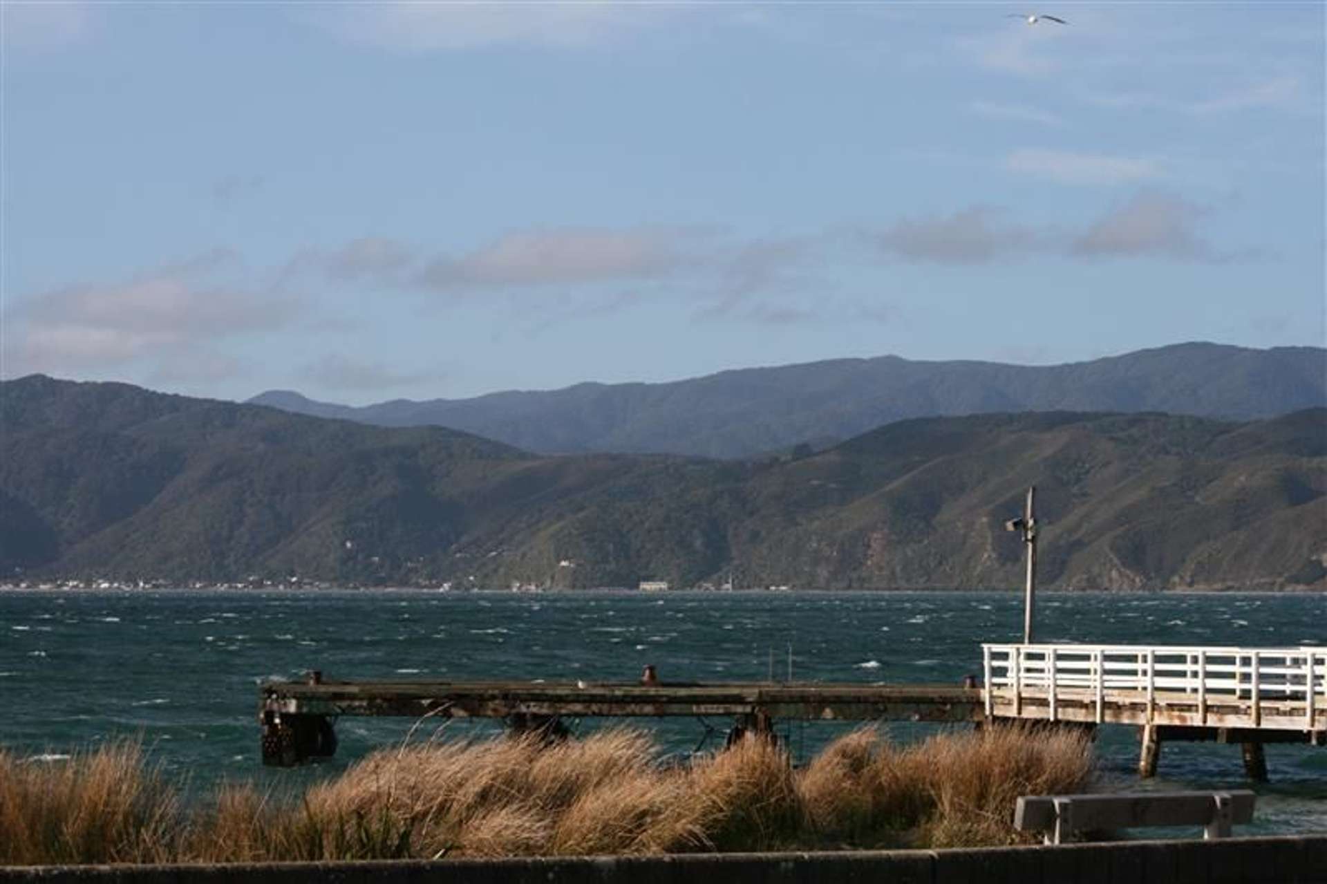 79 Marine Parade Seatoun_0