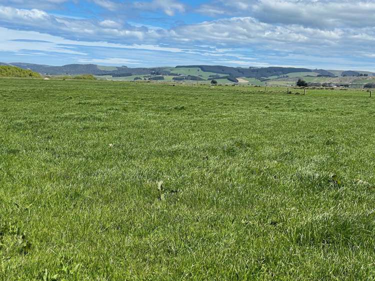 799 Kaka Point Road Balclutha_14