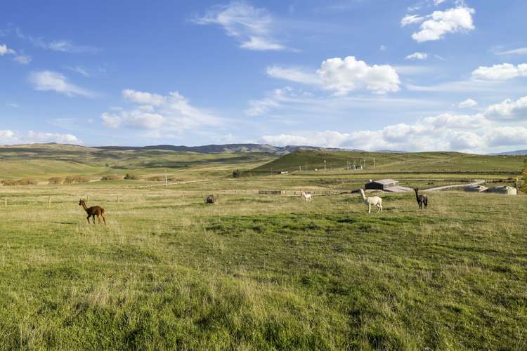 18 Factory Road Ranfurly_25